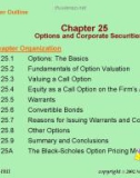 Lecture Fundamentals of corporate finance - Chapter 25: Options and corporate securities