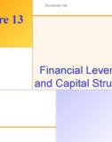 Lecture Fundamentals of corporate finance: Lecture 13