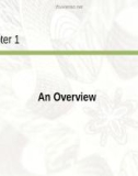 Lecture International finance: An analytical approach (3/e): Chapter 1 - Imad A. Moosa