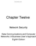 Lecture Data communications and computer networks: A business user's approach (8E) - Chapter 12