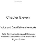 Lecture Data communications and computer networks: A business user's approach (8E) - Chapter 11