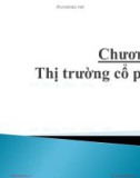 Bài giảng Định chế tài chính - Chương 7&8: Thị trường cổ phiếu