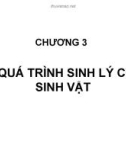 Bài giảng Vi sinh đại cương: Chương 3.1 - Đào Hồng Hà