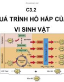 Bài giảng Vi sinh đại cương: Chương 3.2 - Đào Hồng Hà