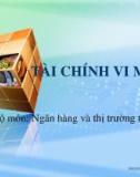 Bài giảng Tài chính vi mô - Chương 0: Mở đầu