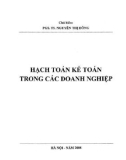 Hạch toán kế toán doanh nghiệp: Phần 1