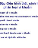 Bài giảng Vi sinh vật học: Chương 2 - Đặc điểm hình thái, sinh lý và phân loại vi khuẩn