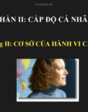 Cấp độ cá nhân - Cơ sở của hành vi cá nhân