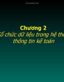 Chương 2: Tổ chức dữ liệu trong hệ thống thông tin kế toán