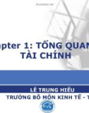 TỔNG QUAN VỀ TÀI CHÍNH