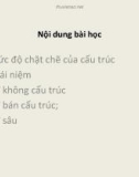 Báo cáo: Phỏng vấn sâu cá nhân