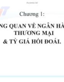 TỔNG QUAN CHUNG VỀ MÔN NGÂN HÀNG THƯƠNG MẠI