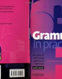 Grammar in practice 5 - Thực hành ngữ pháp tiếng anh cơ bản có đáp án