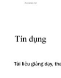 Tài liệu tham khảo về Tín dụng