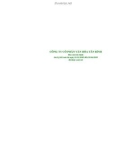 CÔNG TY CỔ PHẦN VĂN HÓA TÂN BÌNH - BÁO CÁO 6 THÁNG ĐẦU NĂM ĐÃ SOÁT XÉT NĂM 2009