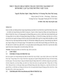 Thực trạng hoạt động trang thương mại điện tử Dinh Độc Lập tại thị trường Việt Nam