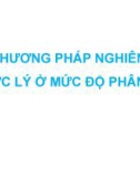 Bài giảng Dược lý 3: Các phương pháp nghiên cứu dược lý ở mức độ phân tử - Mai Thị Thanh Thường