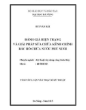 Tóm tắt Luận văn Thạc sĩ Kỹ thuật xây dựng công trình thủy: Đánh giá hiện trạng và giải pháp sửa chữa kênh chính Bắc hồ chứa nước Phú Ninh