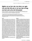 Nghiên cứu sự làm việc của nhóm cọc ngắn trên nền địa chất yếu có cát san lấp sử dụng mô hình vật lý thu nhỏ Schneebeli