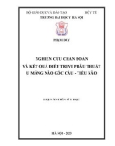 Luận án Tiến sĩ Y học: Nghiên cứu chẩn đoán và kết quả điều trị vi phẫu thuật u màng não góc cầu - tiểu não