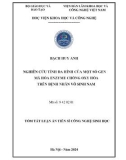 Tóm tắt Luận án Tiến sĩ Công nghệ sinh học: Nghiên cứu tính đa hình của một số gen mã hóa enzyme chống oxy hóa trên bệnh nhân vô sinh nam