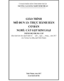 Giáo trình Thực hành hàn cơ bản (Ngành: Cắt gọt kim loại - Trung cấp) - Trường Cao đẳng nghề Ninh Thuận