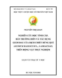 Luận văn Thạc sĩ Y học: Nghiên cứu độc tính cấp, bán trường diễn và tác dụng giảm đau của dịch chiết Húng quế (Ocimum basilicum L., Lamiaceae) trên động vật thực nghiệm