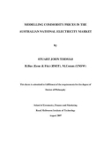 Doctoral thesis of Philosophy: Modelling commodity prices in the Australian National Electricity Market