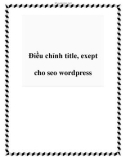 Điều chỉnh title, exept cho seo wordpress