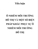 Tiểu luận: Ô nhiễm môi trường đô thị và một số biện pháp khắc phục sự ô nhiễm môi trường đô thị