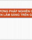 Bài giảng Dược lý 3: Phương pháp nghiên cứu tiền lâm sàng trên gan - Mai Thị Thanh Thường