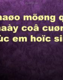 Bài giảng Lịch sử 6 bài 28: Ôn tập