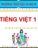 Bài giảng môn Tiếng Việt lớp 1 sách Cánh diều năm học 2020-2021 - Bài 9: Ôn tập (Trường Tiểu học Ái Mộ B)