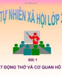 Giáo án điện tử môn Tự nhiên và xã hội lớp 3 - Bài: Hoạt động thở và cơ quan hô hấp