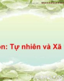 Giáo án điện tử môn Tự nhiên và xã hội lớp 3 - Bài: Hoạt động bài tiết nước tiểu