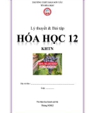 Lý thuyết và bài tập môn Hóa học lớp 12 năm 2022 (KHTN) - Trường THPT Đào Sơn Tây