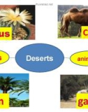 Bài giảng Tiếng Anh 12 - Unit 9: Deserts (Speaking)