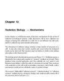 Radiation and Health - Chapter 12