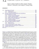 CYANIDE in WATER and SOIL: Chemistry, Risk, and Management - Chapter 12