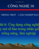 Bài giảng Công nghệ 10 bài 6: Ứng dụng công nghệ nuôi cấy mô tế bào trong nhân giống cây nông, lâm nghiệp