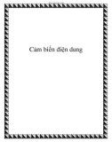 Cảm biến điện dung