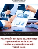 Luận văn Thạc sĩ Quản trị kinh doanh: Phát triển tín dụng doanh nghiệp tại chi nhánh Ngân hàng thương mại cổ phần Việt Nam tại Đà Nẵng