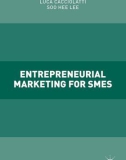 Ebook Entrepreneurial marketing for SMEs: Part 1