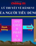 Bài giảng Kinh tế vi mô I (Micro-economics I) - Chương 3: Lý thuyết về hành vi của người tiêu dùng