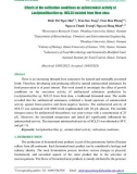 Effects of the cultivation conditions on antimicrobial activity of Lactiplantibacillus sp. NCL33 isolated from Nem chua