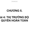 Bài giảng Kinh tế vi mô I (Micro-economics I) - Chương 5.2: Cạnh tranh và độc quyền (tiếp theo)