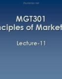 Lecture Principles of Marketing: Lesson 11