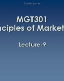 Lecture Principles of Marketing: Lesson 9