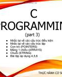 Bài giảng Thực hành cơ sở lập trình: C Programming (Phần 3)