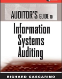 Ebook Auditor's guide to information systems auditing